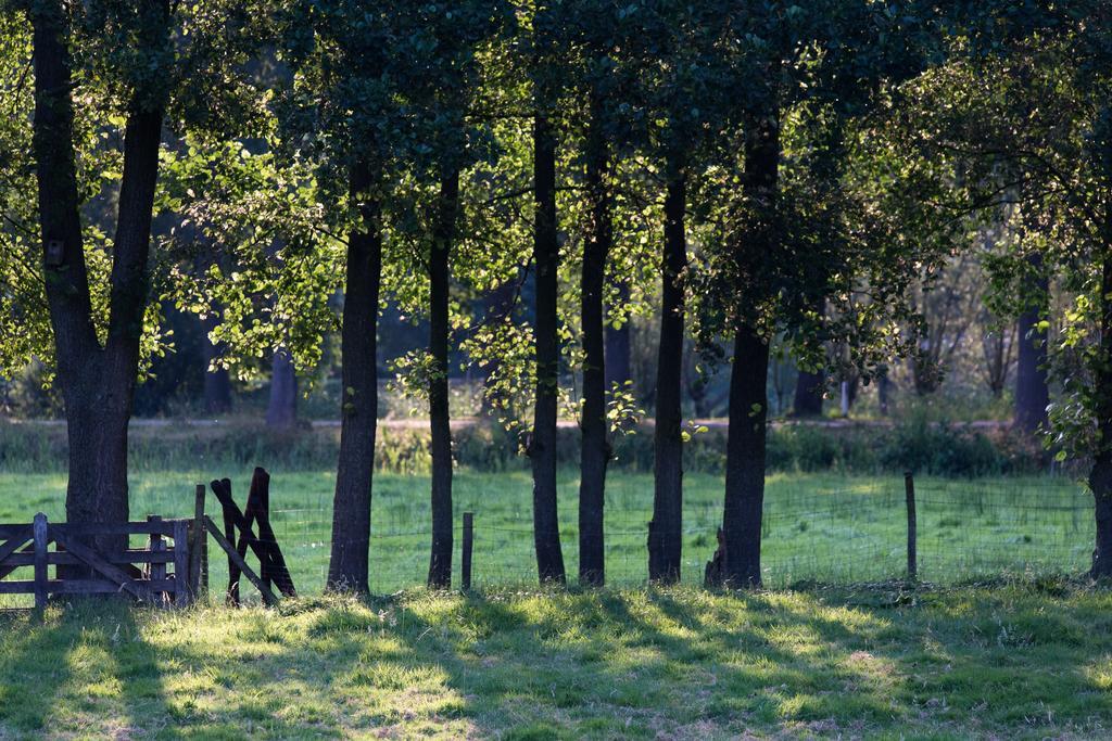 Blier Herne Gorredijk Bagian luar foto